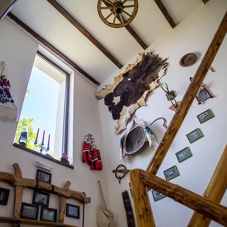 Casa Mosului - Transfagarasan Bed & Breakfast Cîrţişoara Exterior foto