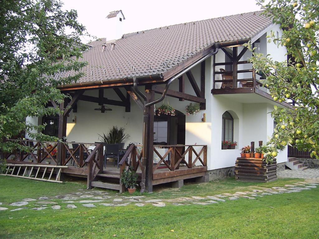 Casa Mosului - Transfagarasan Bed & Breakfast Cîrţişoara Exterior foto