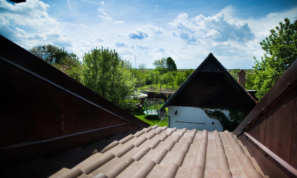 Casa Mosului - Transfagarasan Bed & Breakfast Cîrţişoara Exterior foto