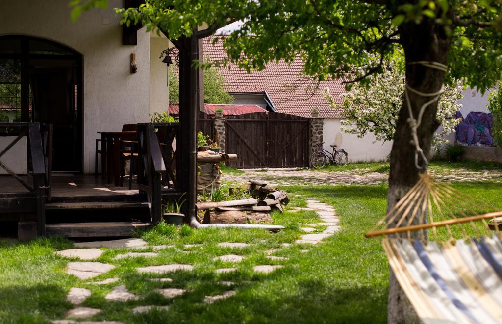Casa Mosului - Transfagarasan Bed & Breakfast Cîrţişoara Exterior foto