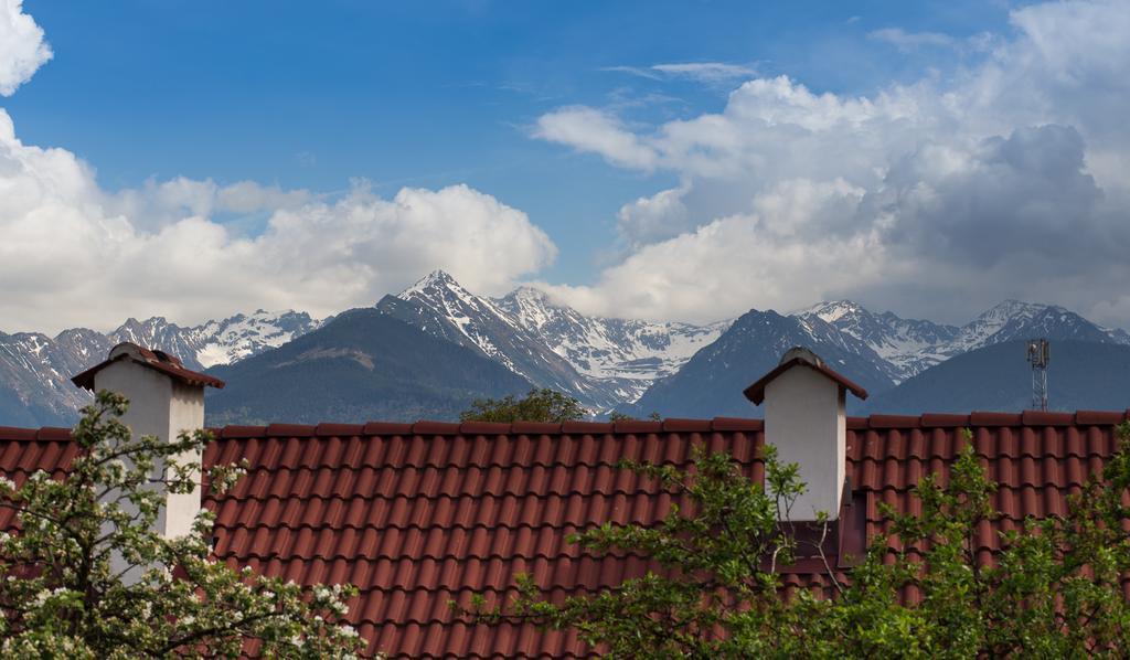 Casa Mosului - Transfagarasan Bed & Breakfast Cîrţişoara Exterior foto