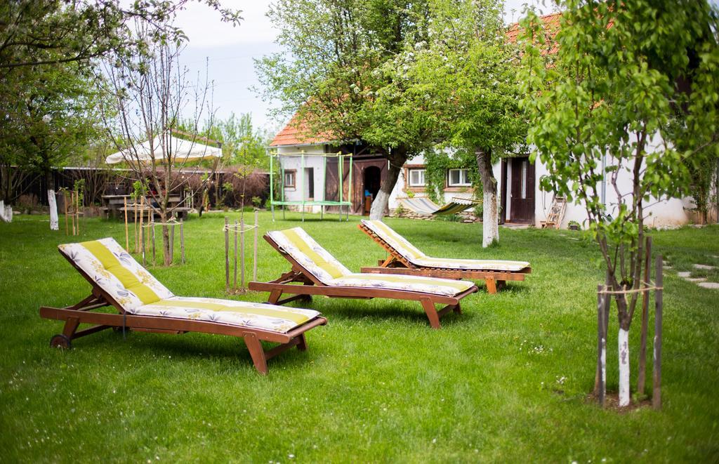 Casa Mosului - Transfagarasan Bed & Breakfast Cîrţişoara Exterior foto