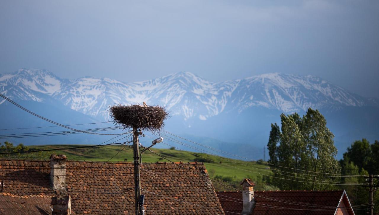 Casa Mosului - Transfagarasan Bed & Breakfast Cîrţişoara Exterior foto